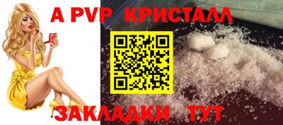 твердый Бийск