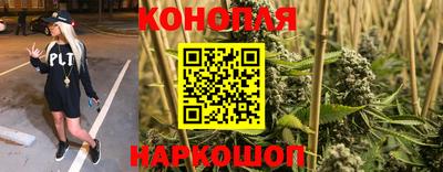 твердый Бийск