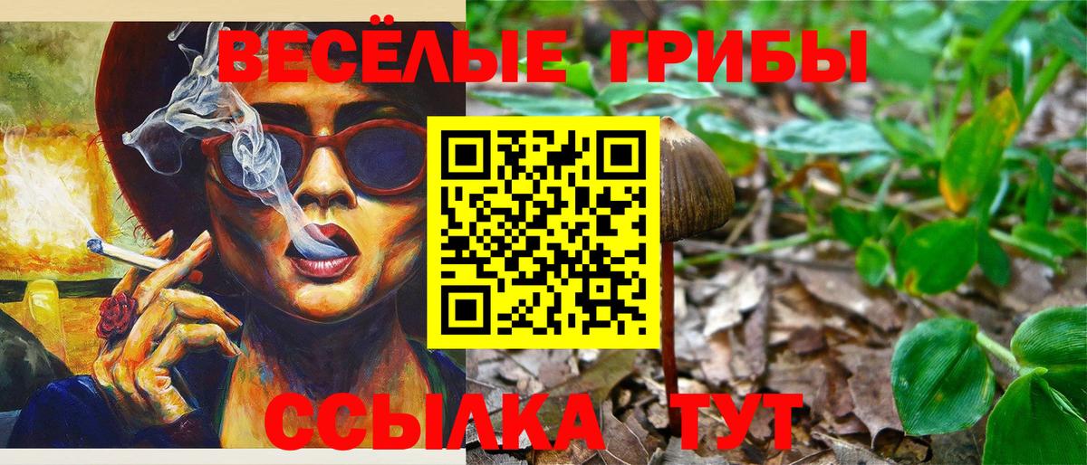 Галлюциногенные грибы Psilocybine cubensis  Вход с VPN  купить   Галлюциногенные грибы Psilocybine cubensis  Кингисепп 